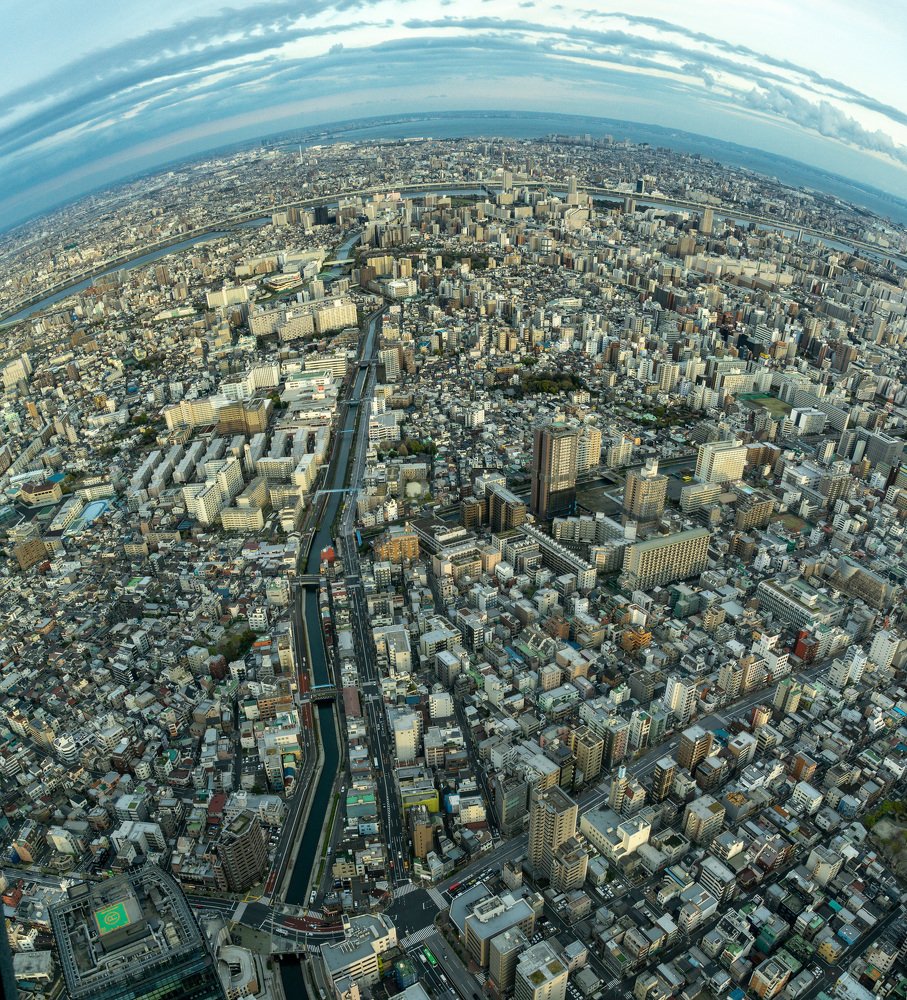 Tokyo from above