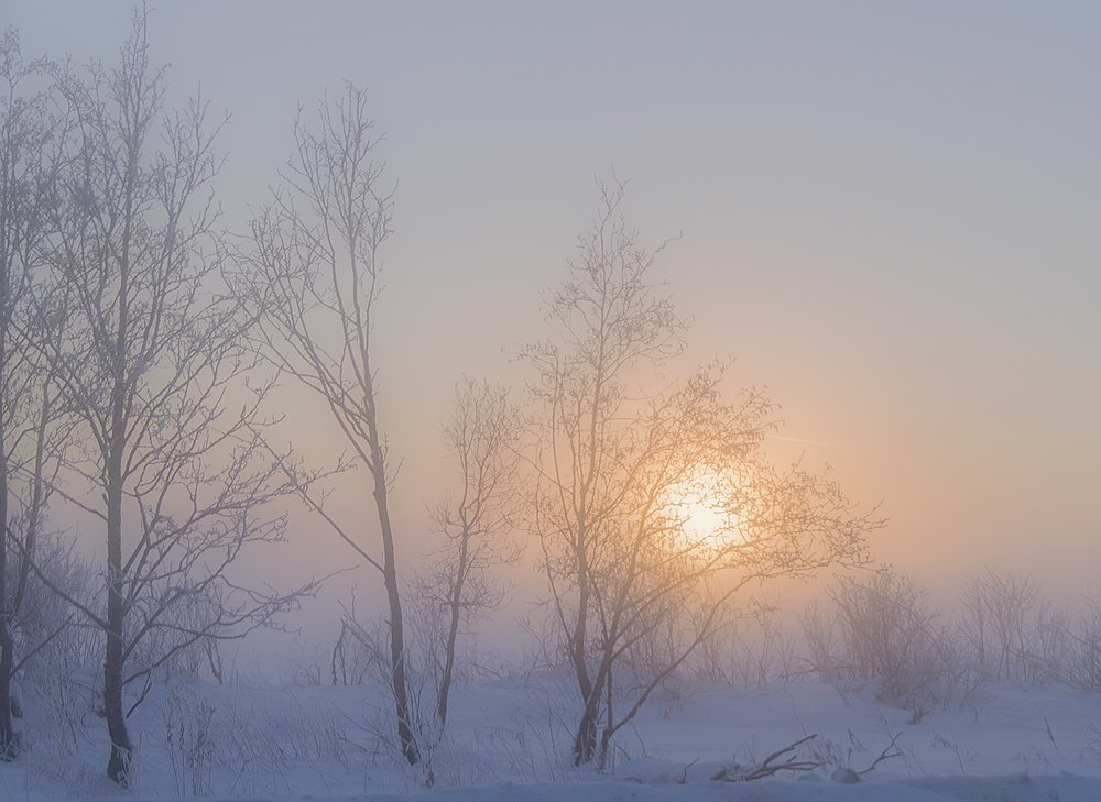 Туманным вечером.