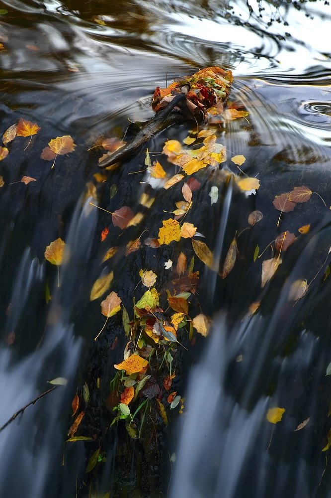 Водоад. Осень.
