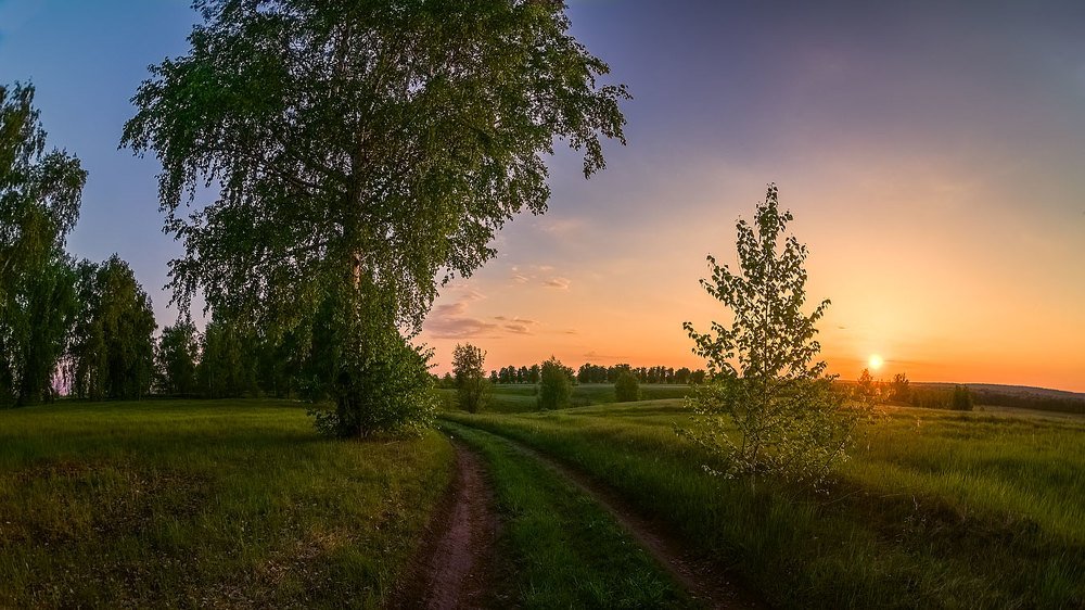 Весенний вечер