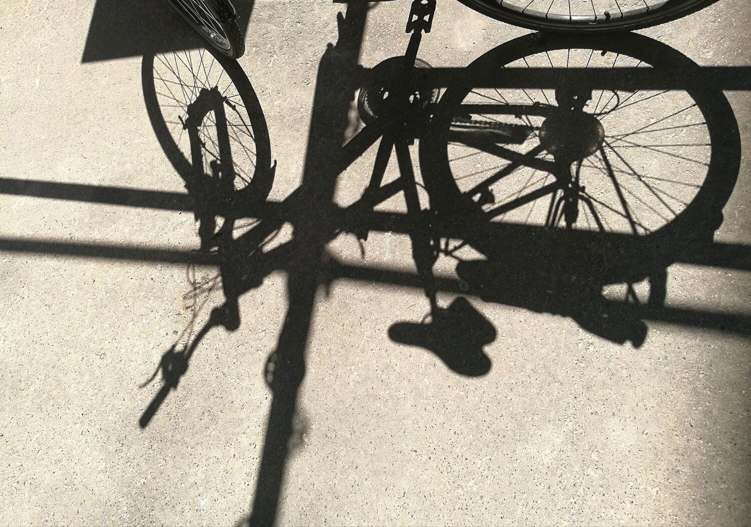 shadow / тень
