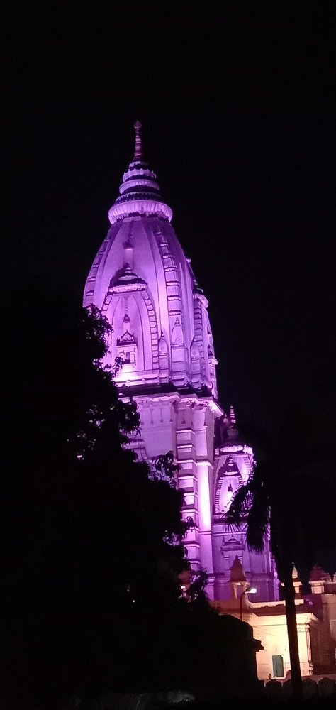 Night beauty