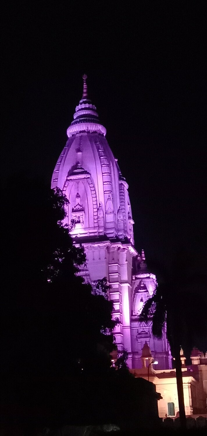 Night beauty