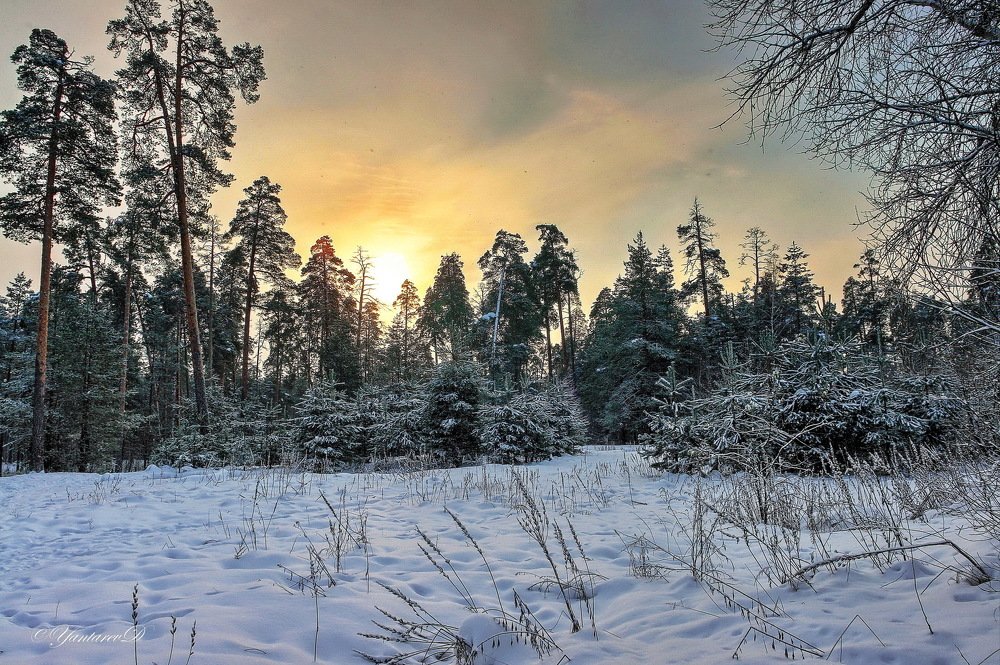 Зимней вечер.