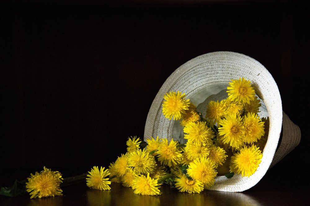 Шляпа с одуванчиками