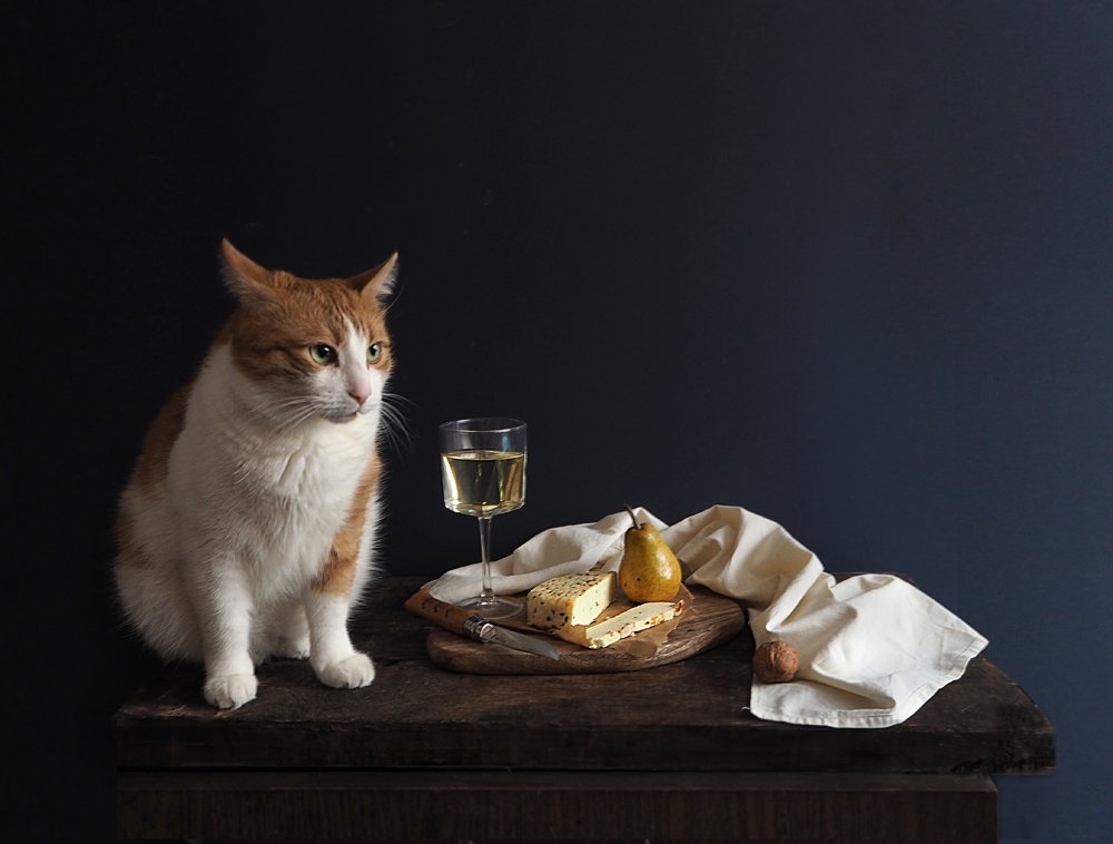 Still-life с котом и сыром