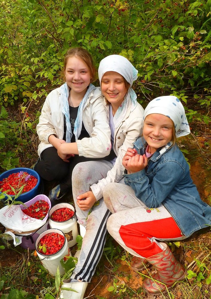 В малиннике