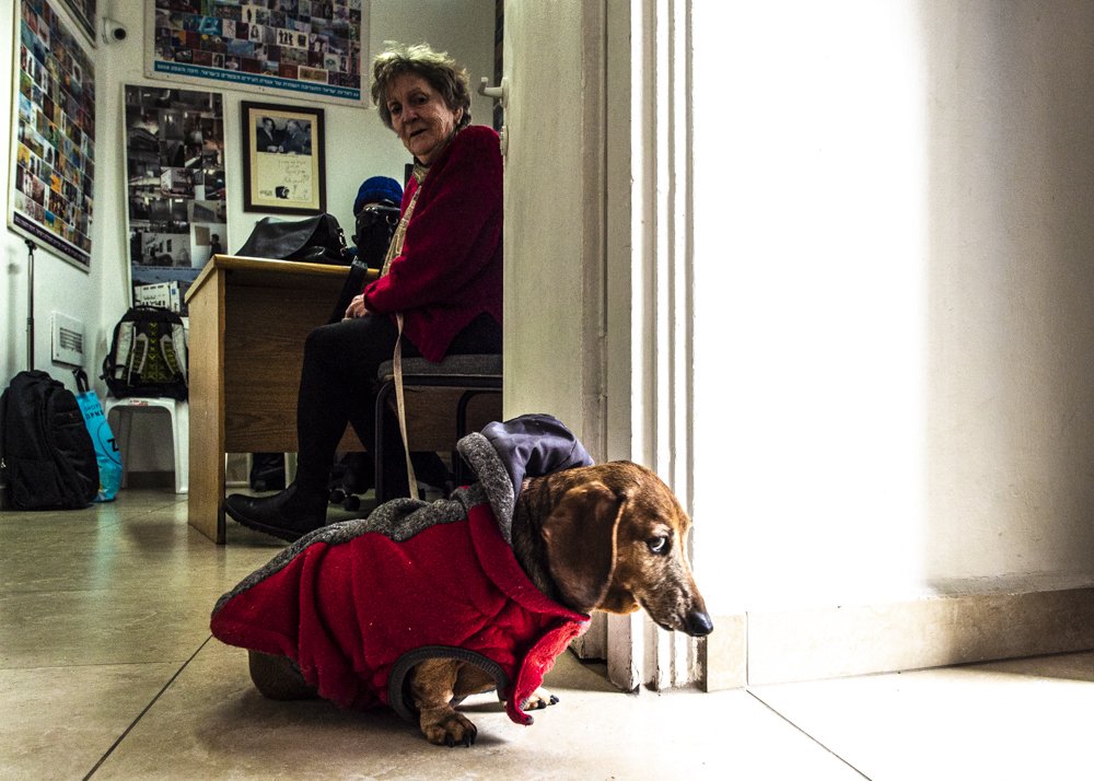 "lets move on, i need pee...."