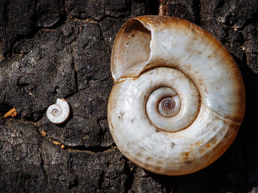 Photograph by Евгений