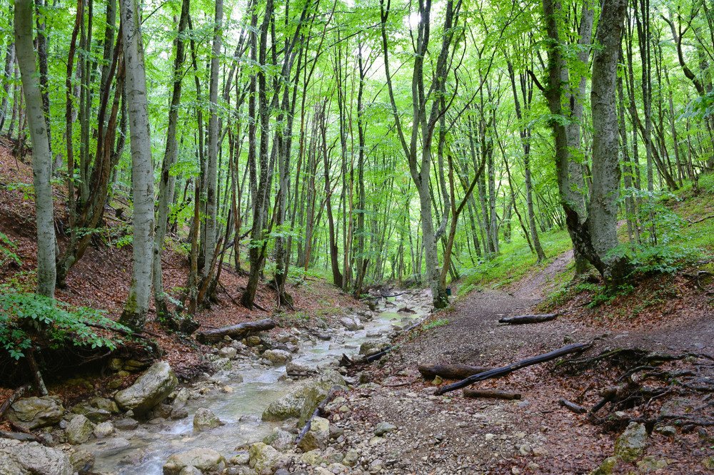 Большой каньон Крыма