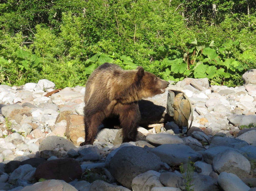 Цирковые номера