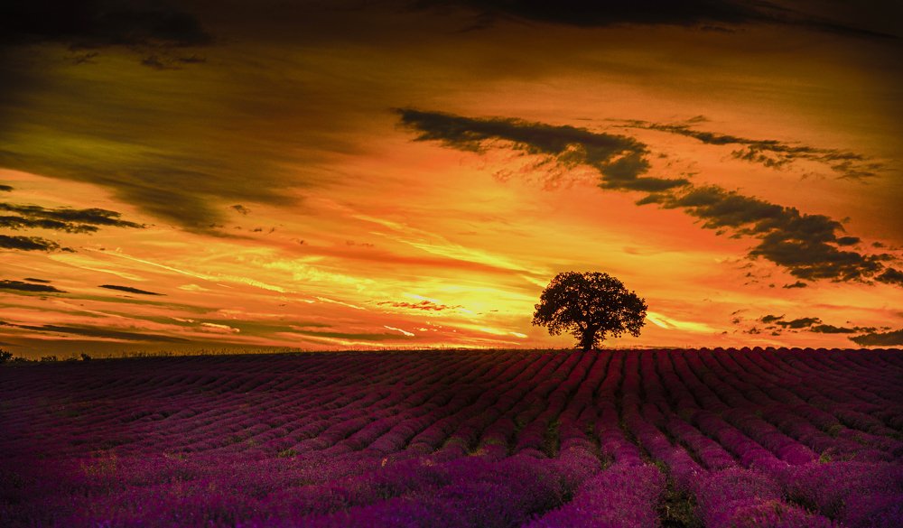 Photograph by Venelin Dimitrov