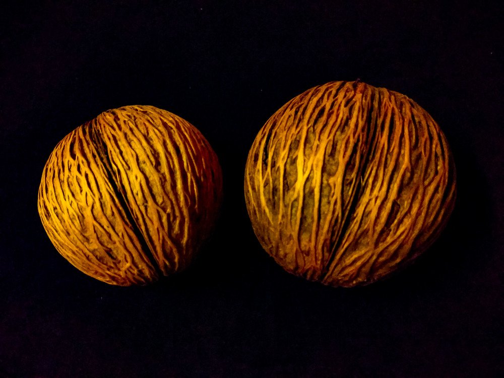 Remaining fruit skin