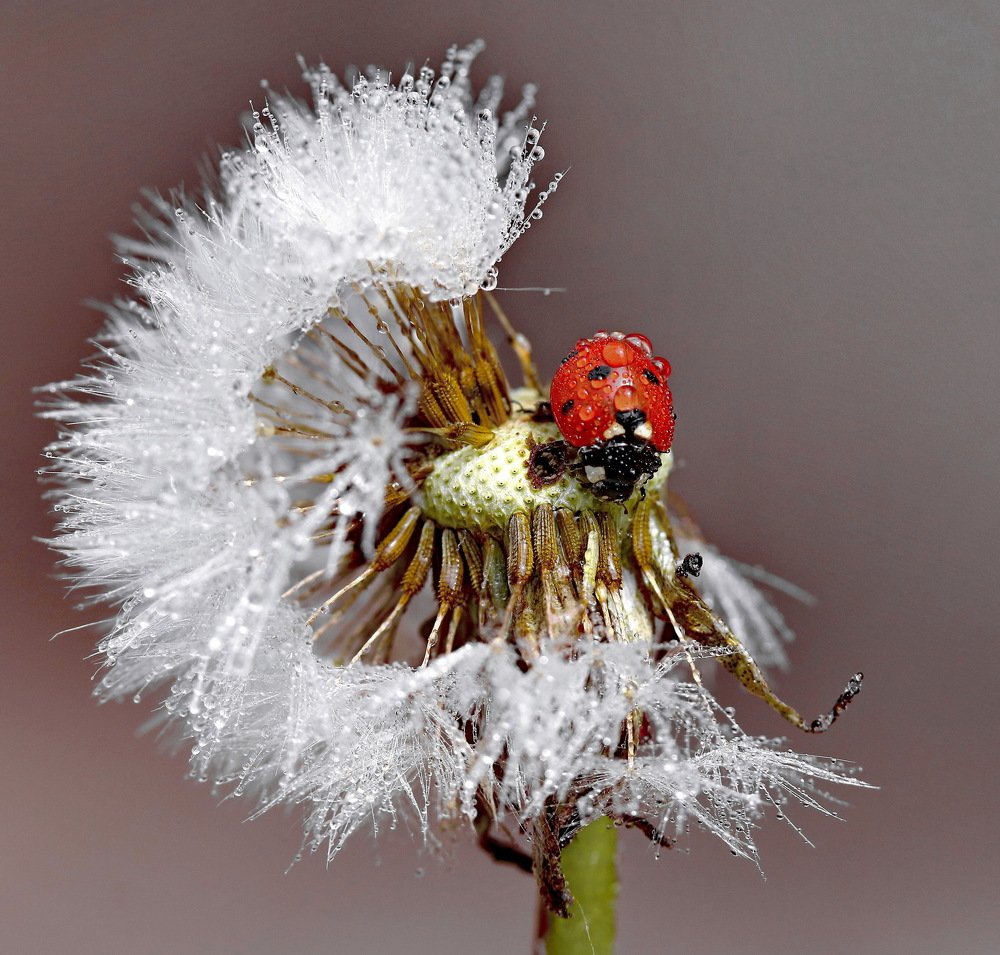 Photograph by Игорь Осипов