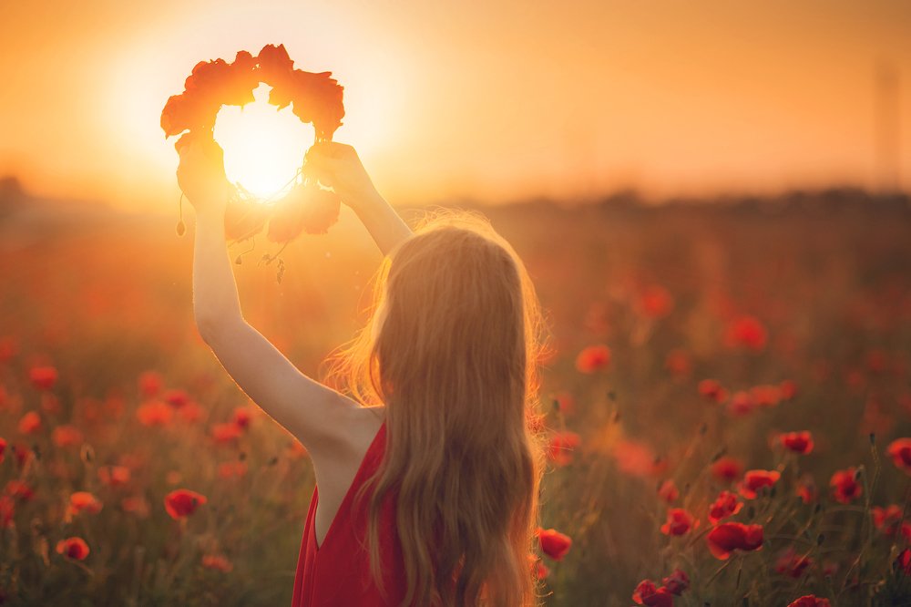 Ловец солнца