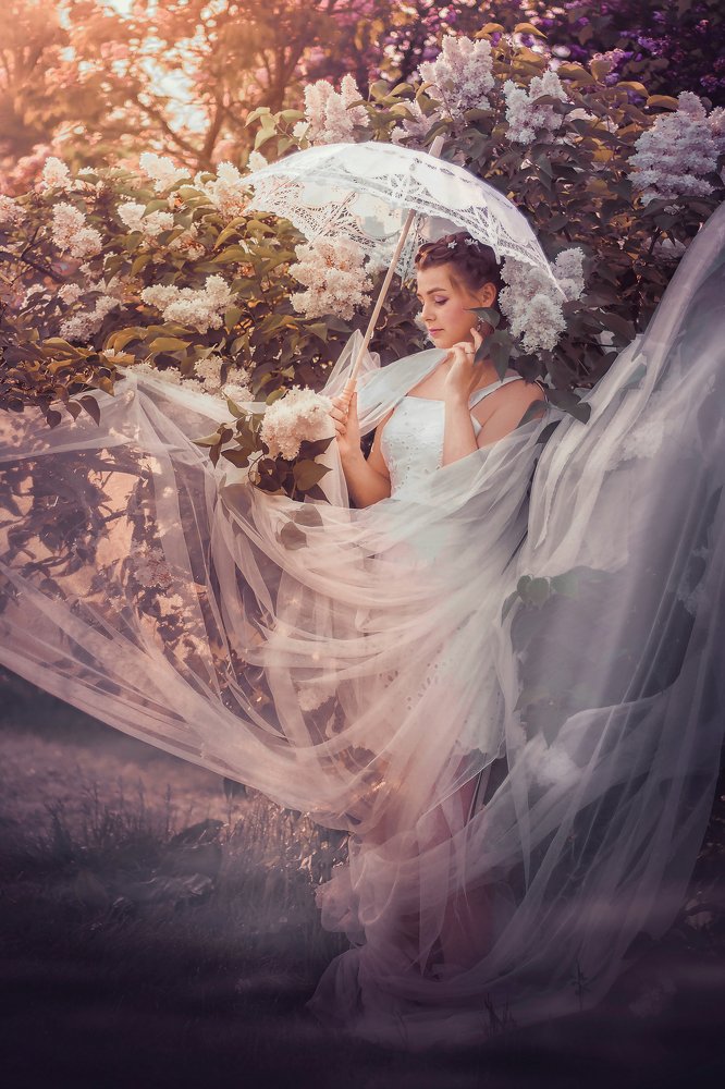 В сиреневом плену