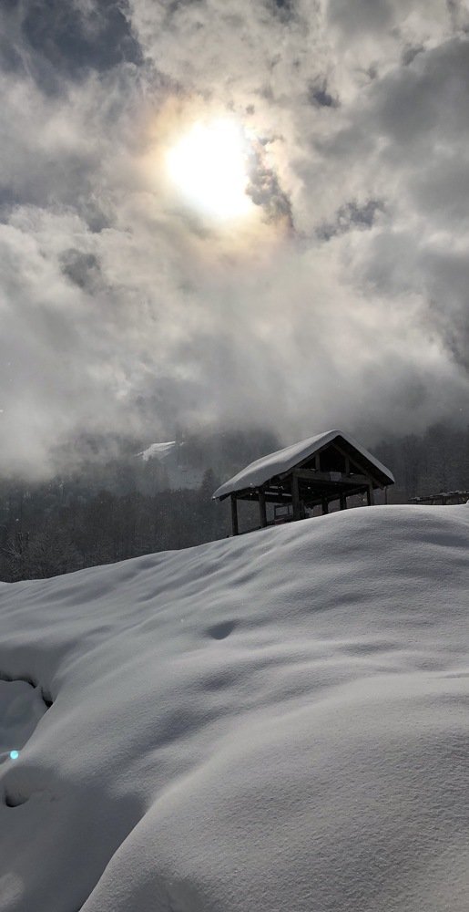 Фотография автора Мария Палтусова