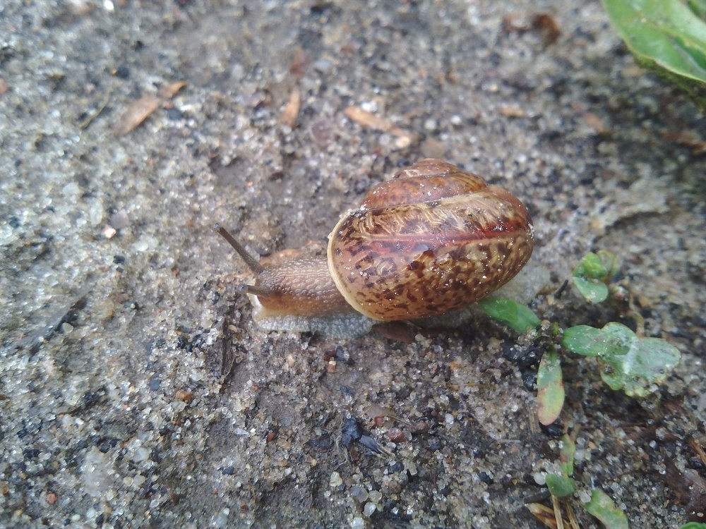 Photograph by Инна Голубева