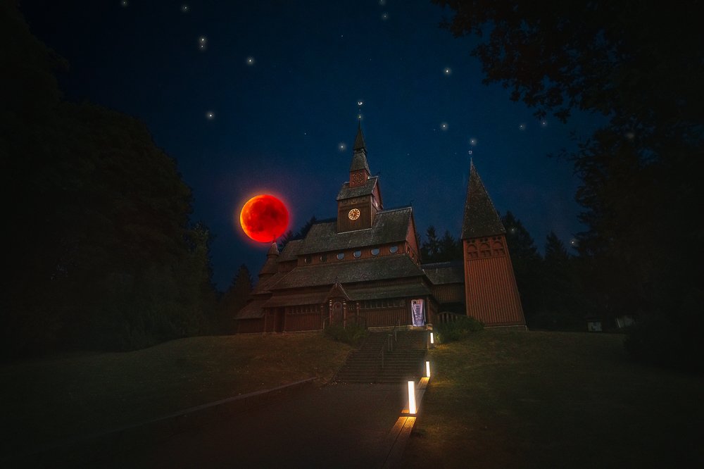 Bloodroot over stave church