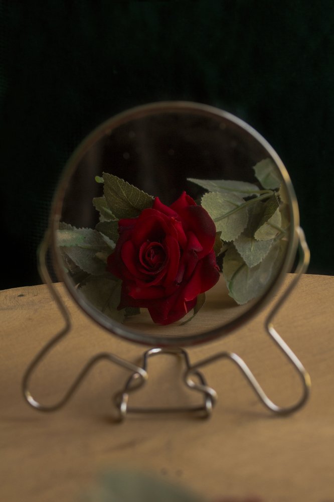 Photograph by Farimah Pournejati