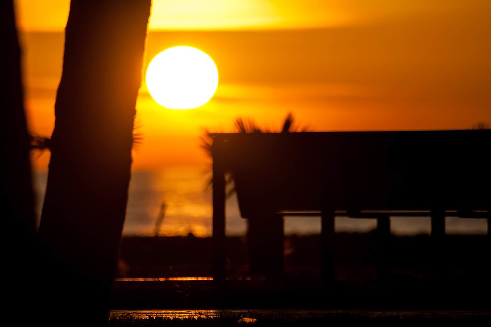 Photograph by Мария Щедрина