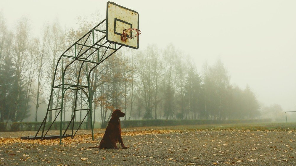 Photograph by Žanas Kalvaitis