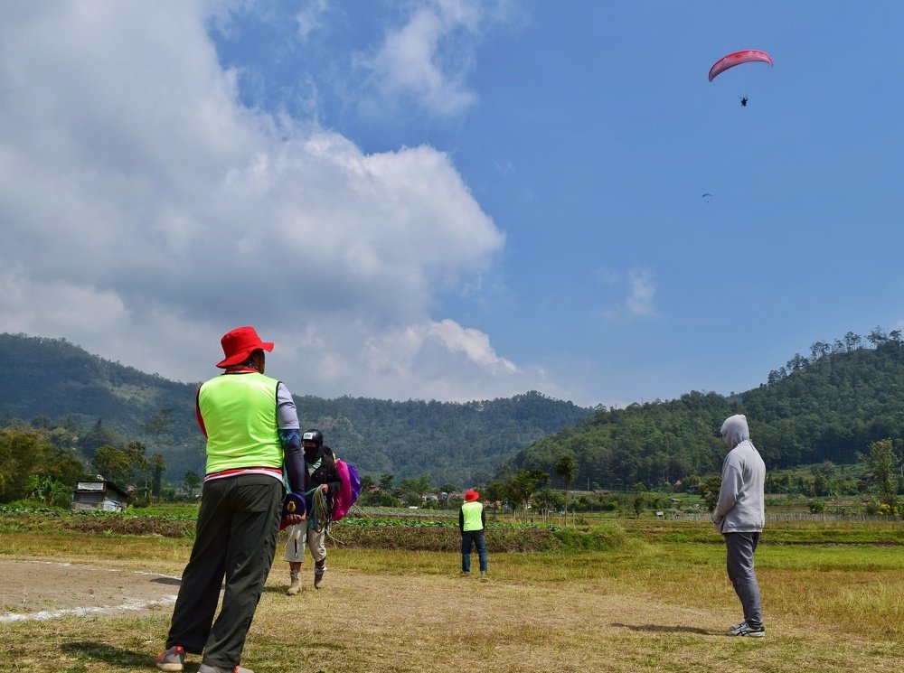 Waiting for the landing