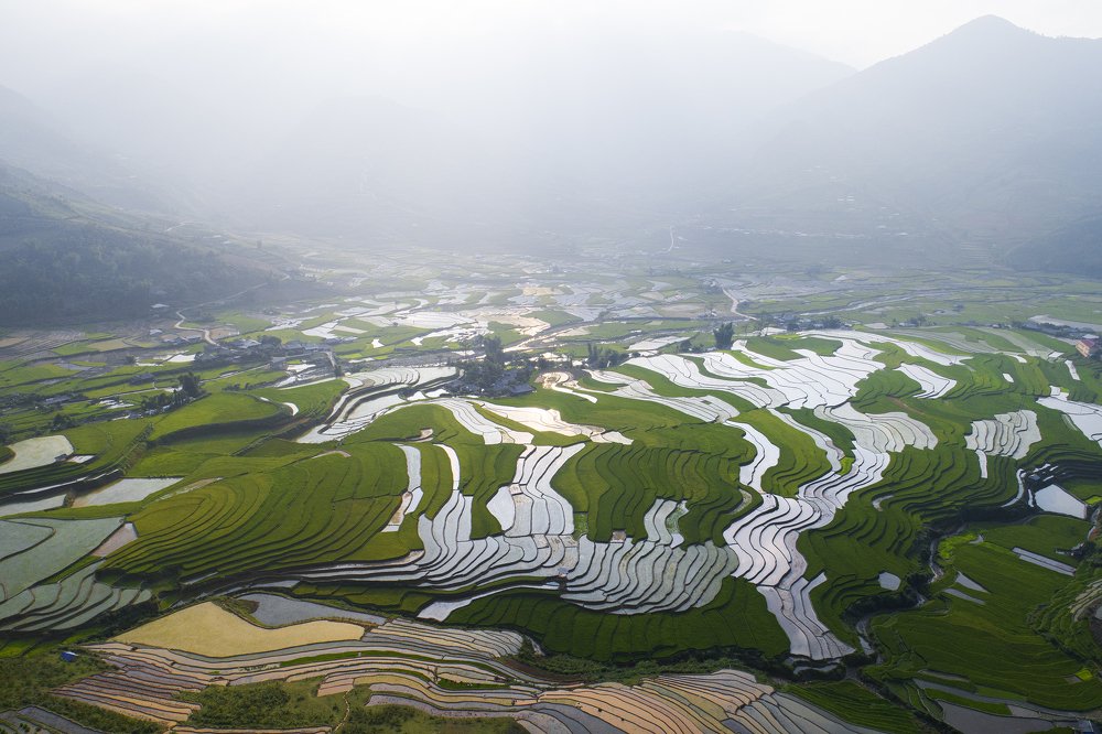 Terraces in Tu Le, Yen Bai,Viet Nam