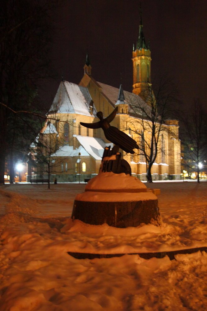 Друскининкай. Литва.