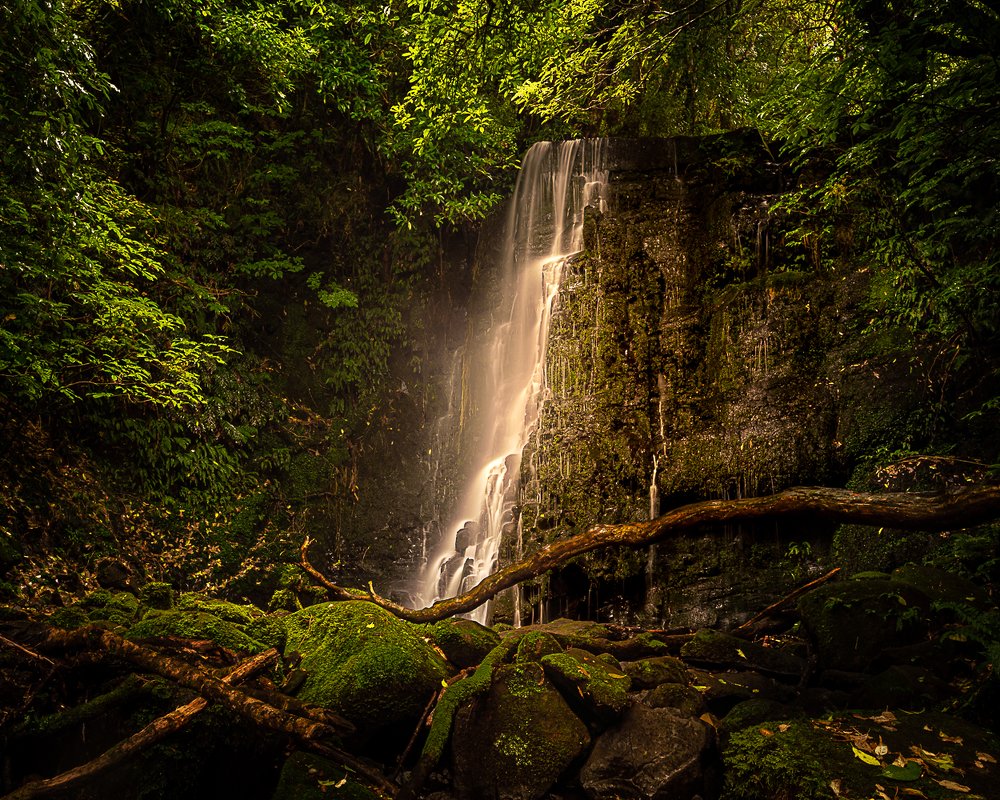 Matai Fall New Zealand