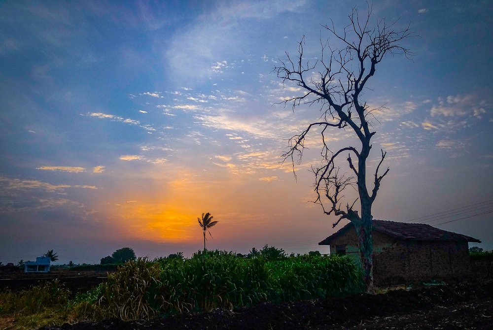 Evening Scenes