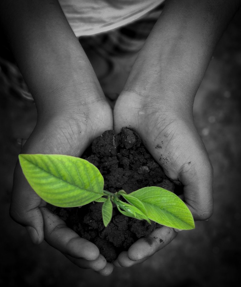 Environment theme