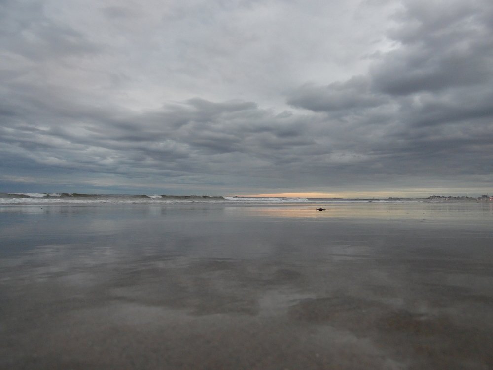 Calm ocean