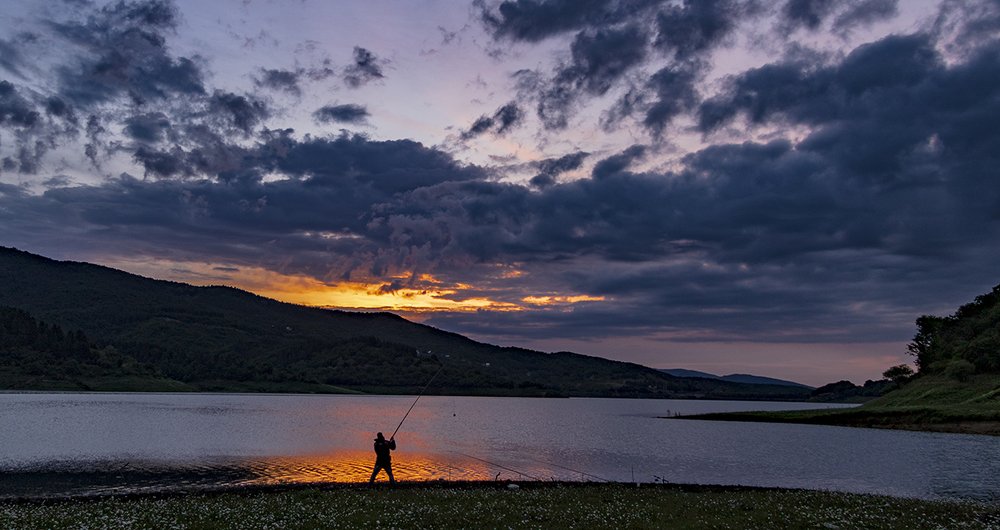 Photograph by Alex Kalpus