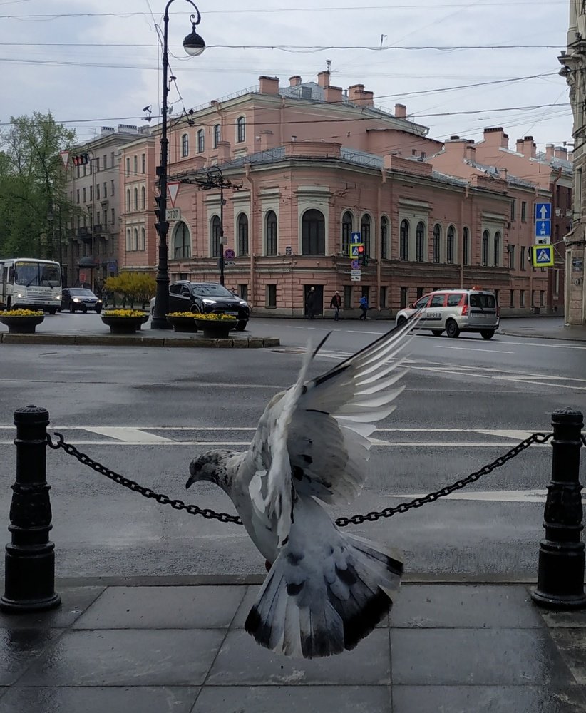 Photograph by Екатерина Бевзенко