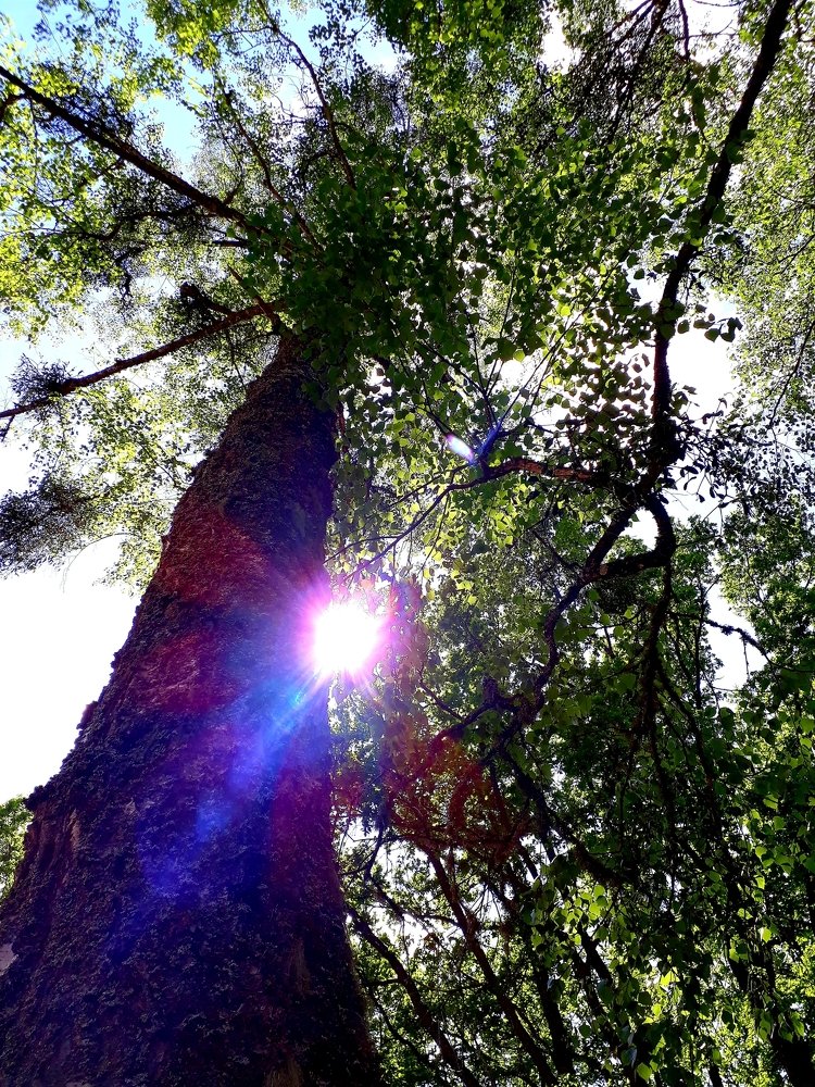 Другой ракурс, другие впечатления...