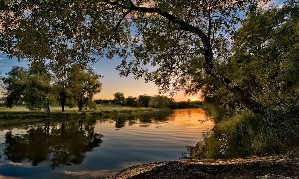 Photograph by Виталий Тимофеев