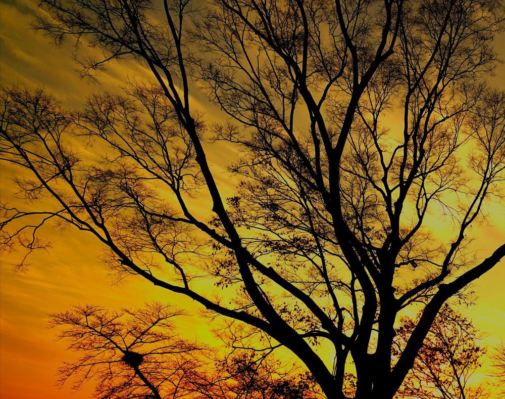 Silhouette at sunset