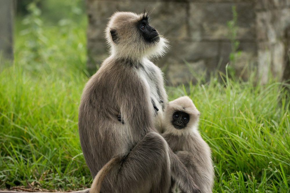 Mother's Love for her baby is unexplainable