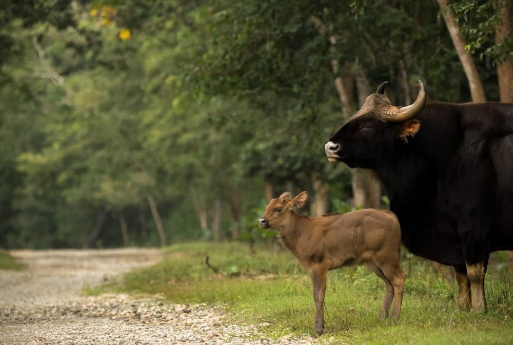 Motherhood is the greatest thing and the hardest thing.