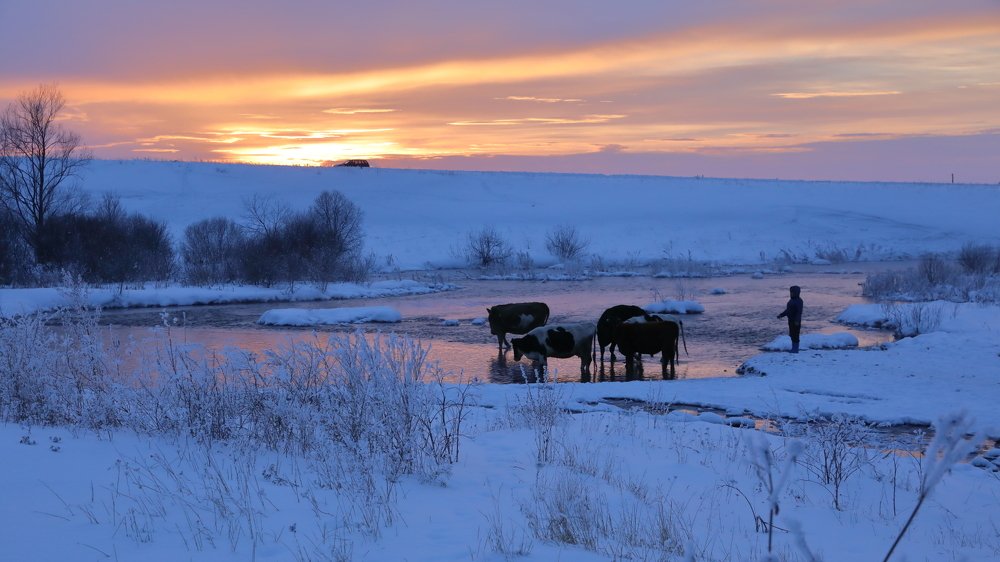 Деревенька моя....