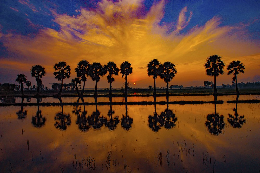 Bình minh Tịnh Biên