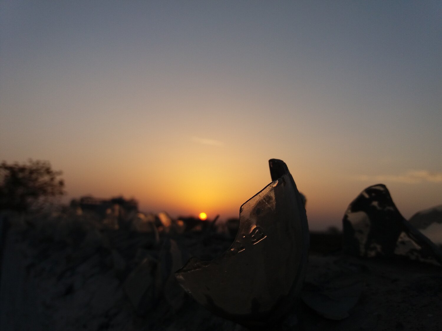 Photo #3288645