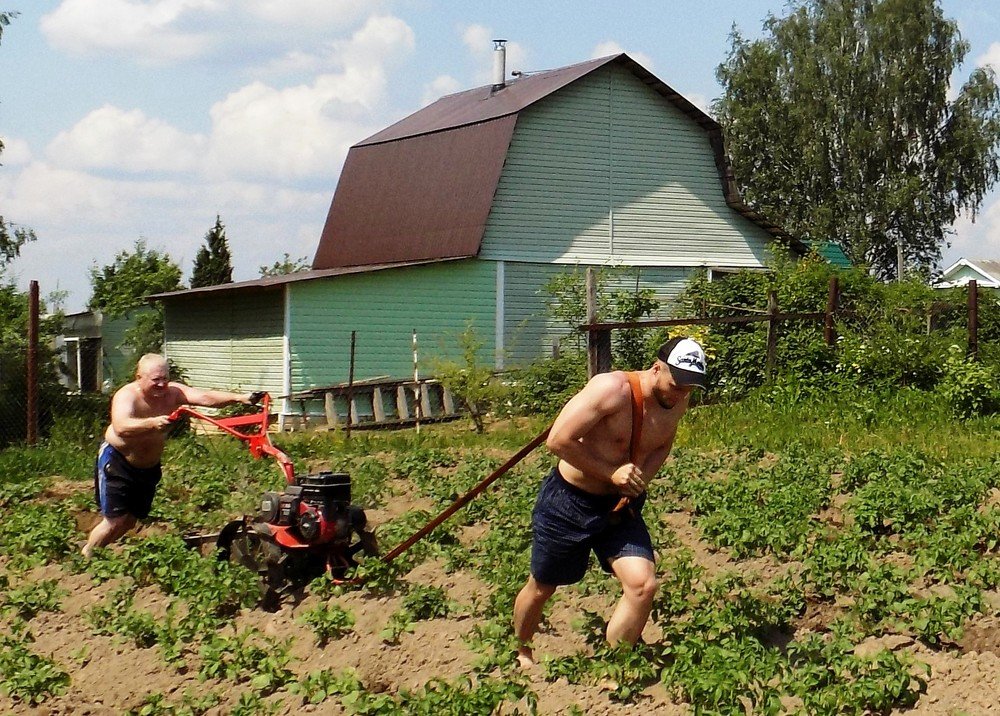 Старо как мир