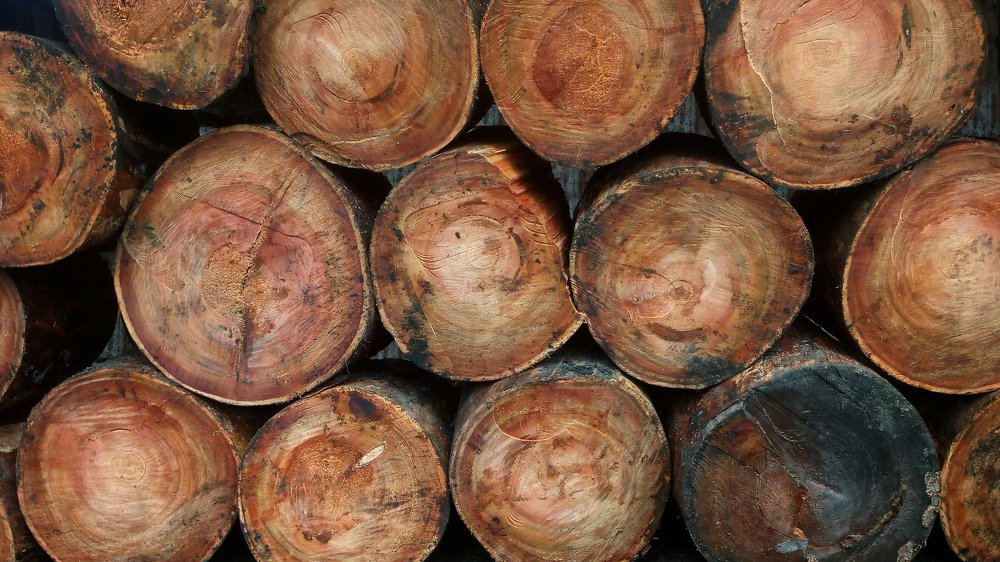 Дрова на зиму.