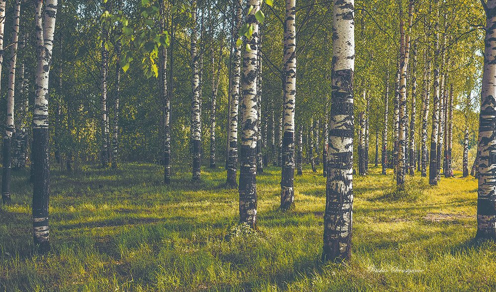 природа на пляж..