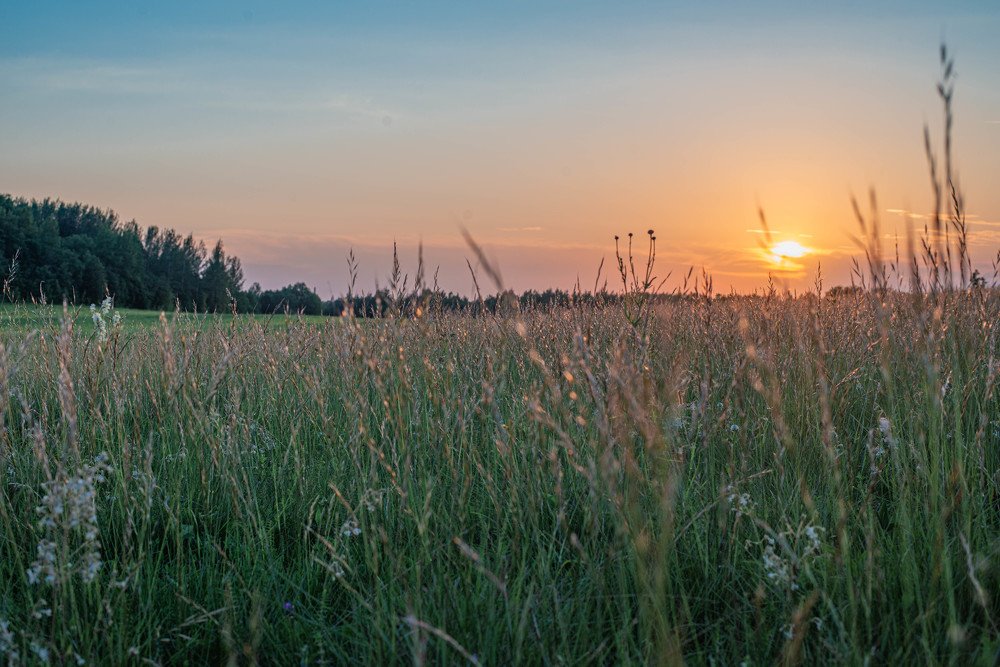 завтра будет новый день...