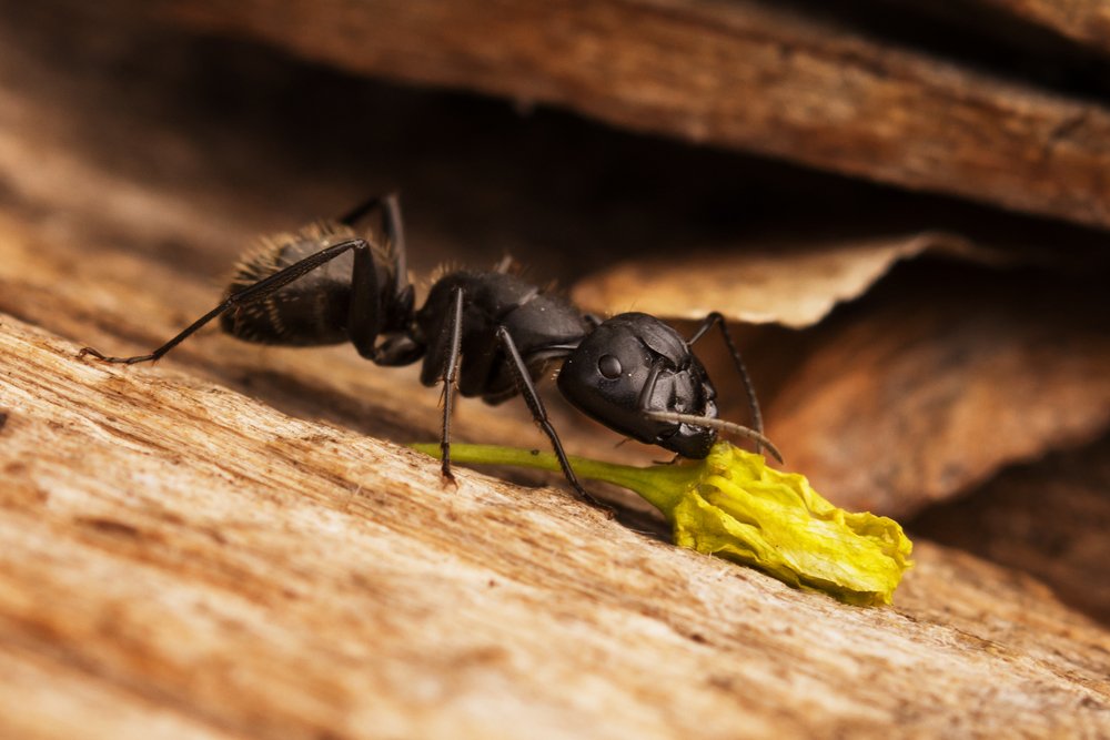 Пригодится