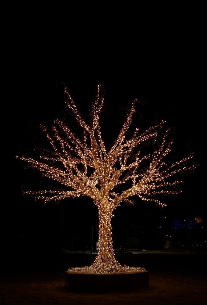 Photograph by Nadezda Sarap