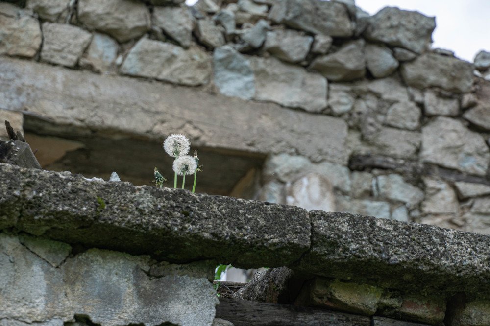 Abandoned  Neighbourhoods in Rhodope Montain, Bulgaria